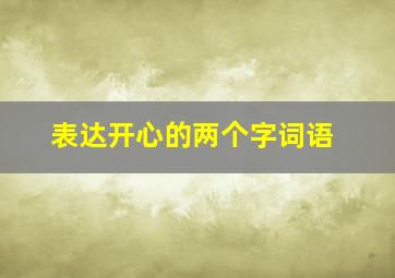 表达开心的两个字词语