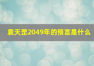 袁天罡2049年的预言是什么