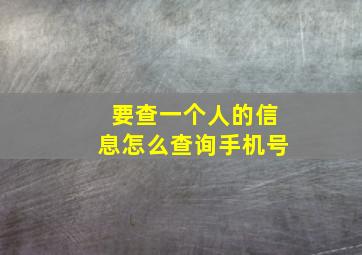 要查一个人的信息怎么查询手机号