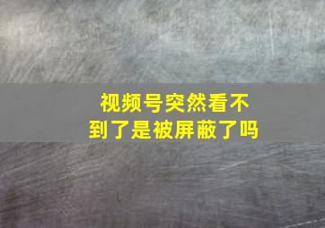 视频号突然看不到了是被屏蔽了吗