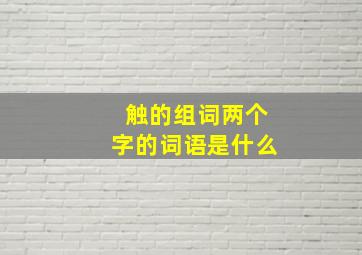 触的组词两个字的词语是什么