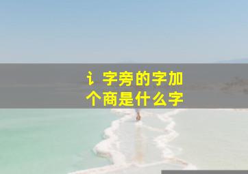 讠字旁的字加个商是什么字