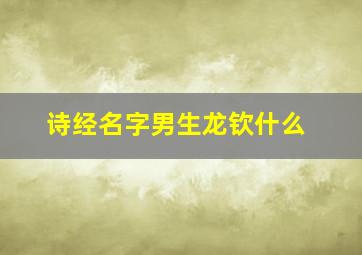 诗经名字男生龙钦什么