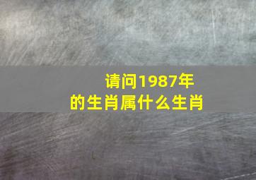 请问1987年的生肖属什么生肖