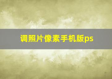 调照片像素手机版ps