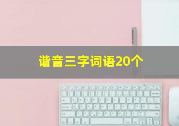 谐音三字词语20个