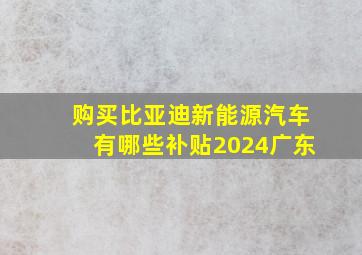 购买比亚迪新能源汽车有哪些补贴2024广东