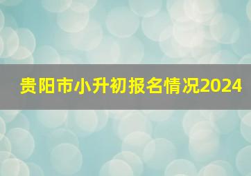 贵阳市小升初报名情况2024