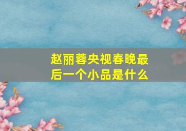 赵丽蓉央视春晚最后一个小品是什么