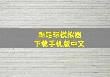 踢足球模拟器下载手机版中文