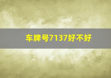 车牌号7137好不好