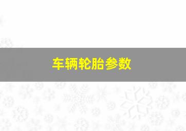 车辆轮胎参数