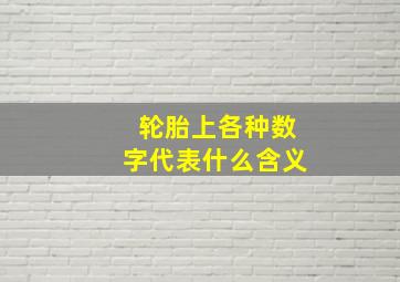 轮胎上各种数字代表什么含义