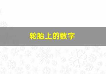 轮胎上的数字