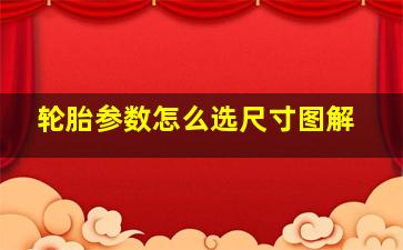 轮胎参数怎么选尺寸图解