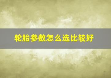 轮胎参数怎么选比较好