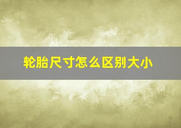 轮胎尺寸怎么区别大小