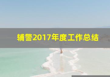 辅警2017年度工作总结