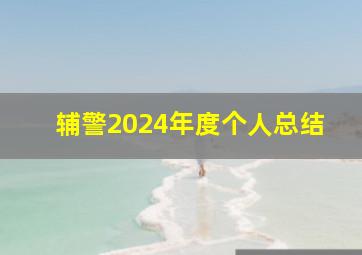 辅警2024年度个人总结