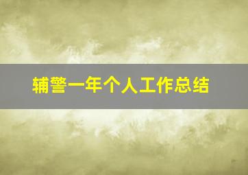 辅警一年个人工作总结