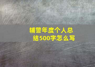 辅警年度个人总结500字怎么写