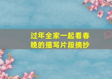 过年全家一起看春晚的描写片段摘抄