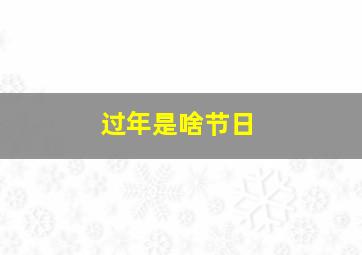 过年是啥节日