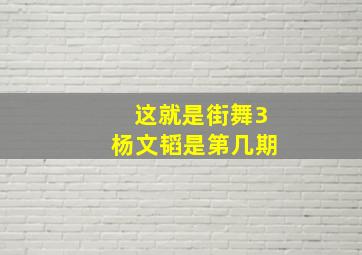 这就是街舞3杨文韬是第几期