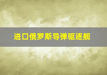 进口俄罗斯导弹驱逐舰