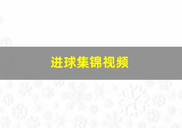 进球集锦视频