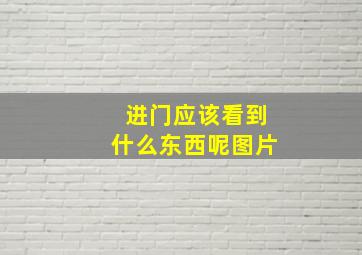 进门应该看到什么东西呢图片