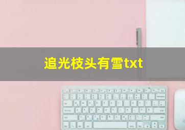 追光枝头有雪txt