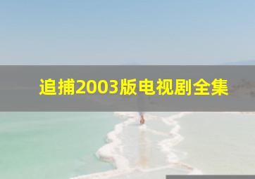 追捕2003版电视剧全集