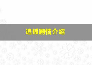 追捕剧情介绍