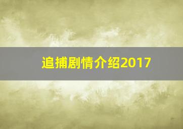 追捕剧情介绍2017