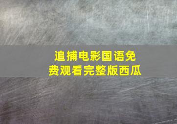 追捕电影国语免费观看完整版西瓜