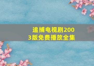 追捕电视剧2003版免费播放全集