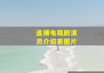 追捕电视剧演员介绍表图片