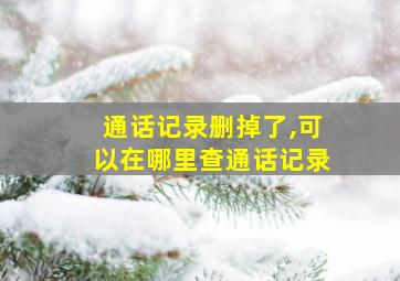 通话记录删掉了,可以在哪里查通话记录