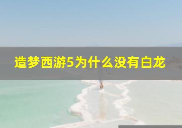 造梦西游5为什么没有白龙