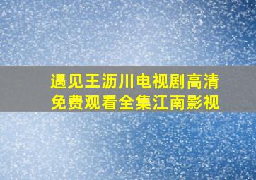 遇见王沥川电视剧高清免费观看全集江南影视