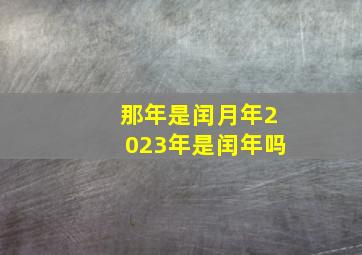 那年是闰月年2023年是闰年吗