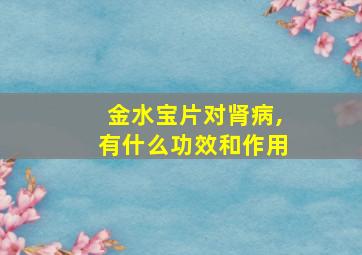 金水宝片对肾病,有什么功效和作用