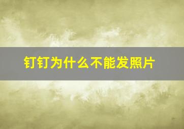 钉钉为什么不能发照片