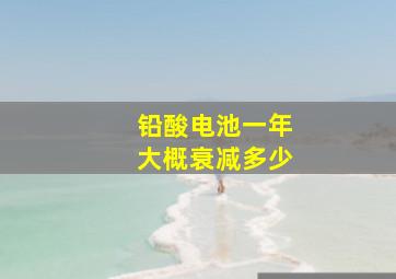 铅酸电池一年大概衰减多少