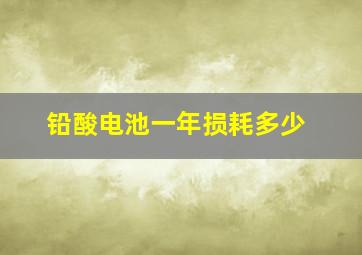 铅酸电池一年损耗多少