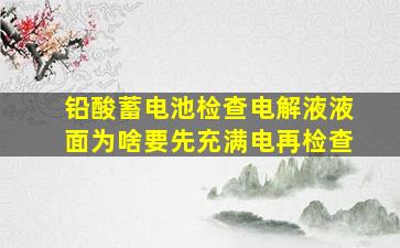 铅酸蓄电池检查电解液液面为啥要先充满电再检查