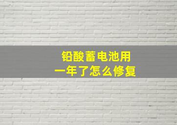 铅酸蓄电池用一年了怎么修复