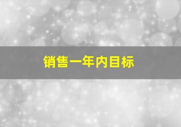 销售一年内目标