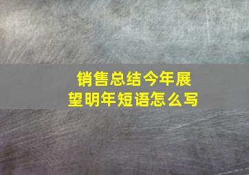 销售总结今年展望明年短语怎么写